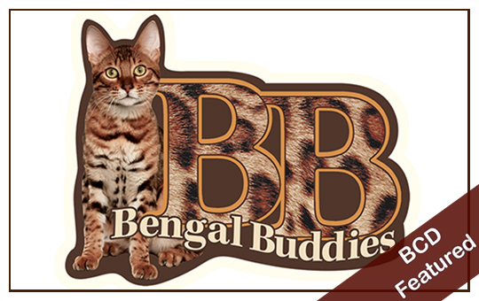 Bengal Buddies